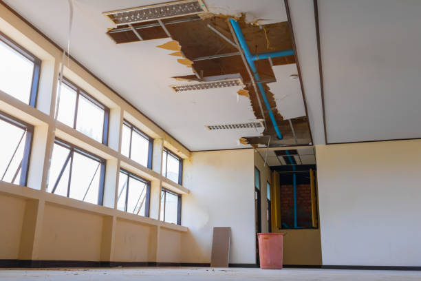 Best Water damage restoration insurance claims  in Rutherford, PA