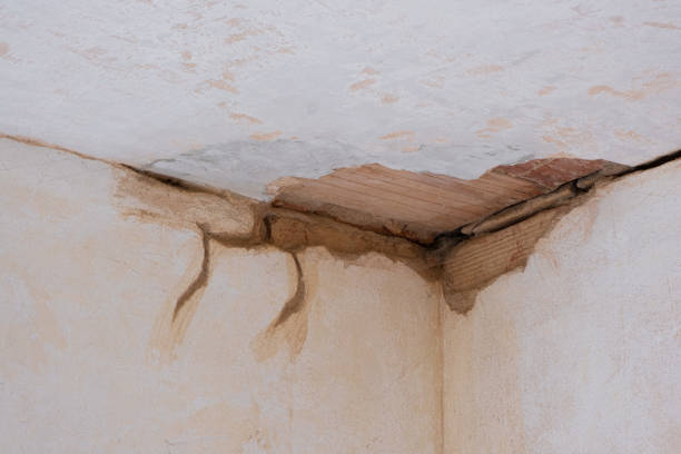 Best 24/7 water damage repair  in Rutherford, PA