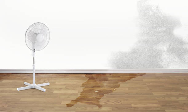 Best Water damage restoration near me  in Rutherford, PA