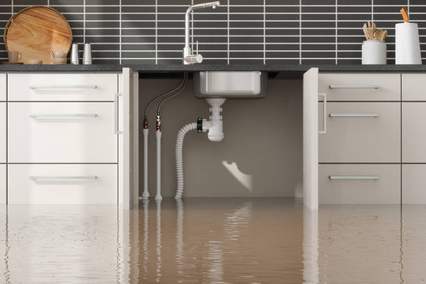 Best Residential water damage restoration  in Rutherford, PA